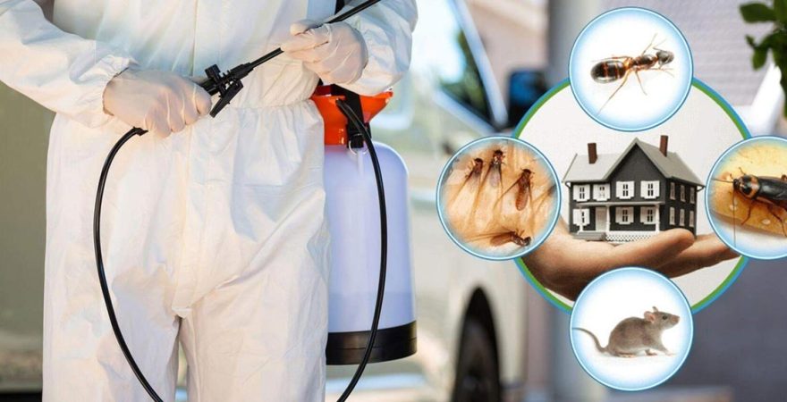 Kozaklı Böcek İlaçlama