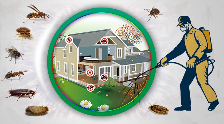 Kozaklı Böcek İlaçlama