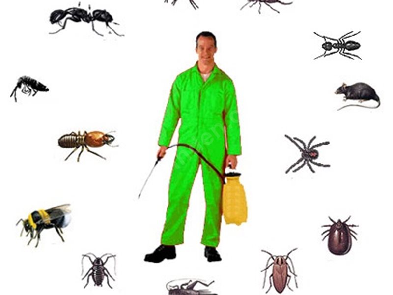 Kozaklı Böcek İlaçlama